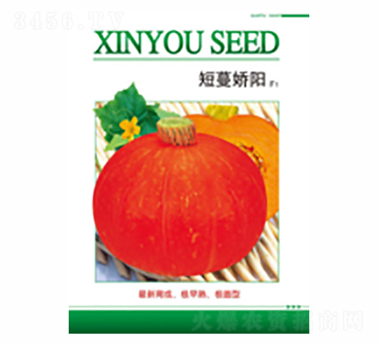 短蔓嬌陽(yáng)-德盛豐