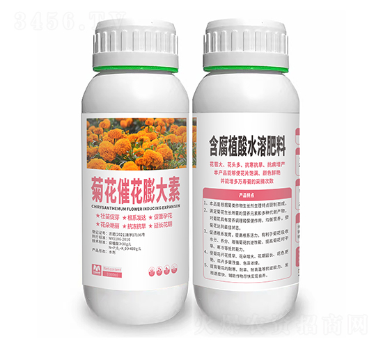 菊花催花膨大素-隆科農(nóng)業(yè)