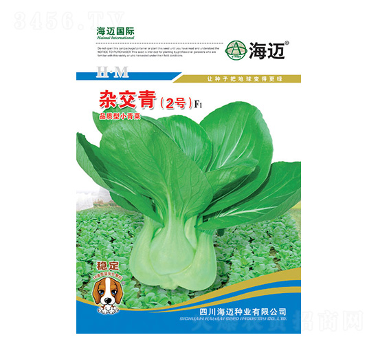 雜交青2號-小青菜種子-海邁國際