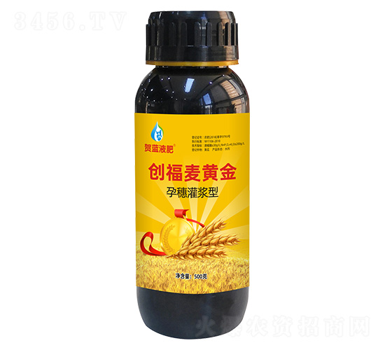 孕穗灌漿型創(chuàng)富麥黃金-賀藍液肥-創(chuàng)福