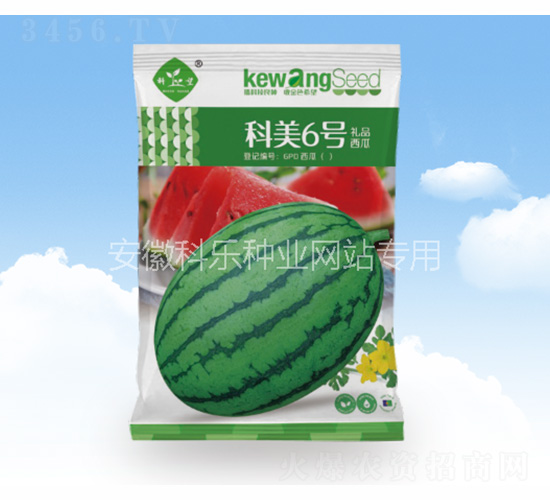 科美6號(hào)-科樂種業(yè)