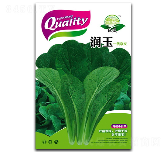 潤(rùn)玉-白菜種子-耘盛