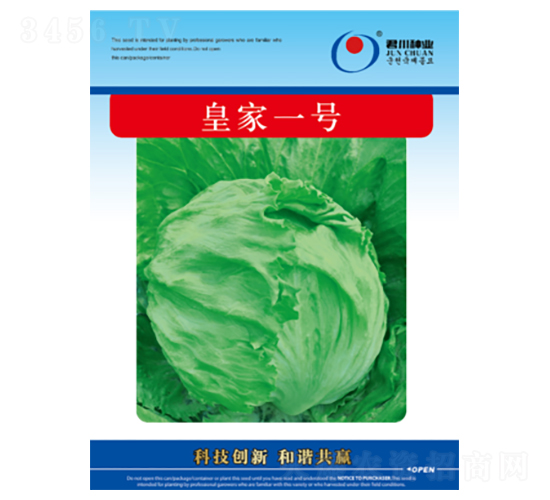 皇家一號-生菜種子-君川種業(yè)