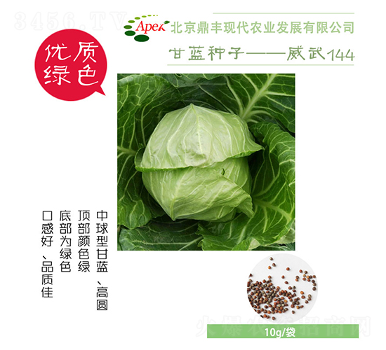威武144-甘藍(lán)種子-鼎豐農(nóng)業(yè)