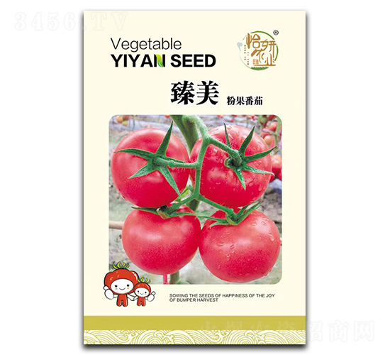 臻美粉果番茄-番茄種子-怡妍農業(yè)