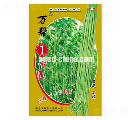 萬幫一號(hào)豇豆種子-萬邦種業(yè)