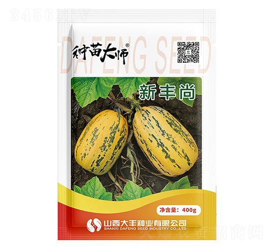 新豐尚-西葫蘆種子-大豐種業(yè)