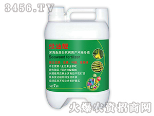 深海魚蛋白抗病高產(chǎn)沖施母液-綠油靚-山旺生物
