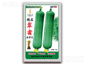 精品翠霜掛果王-絲瓜種子-川塔農(nóng)科