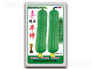 精品早帥-絲瓜種子-川塔