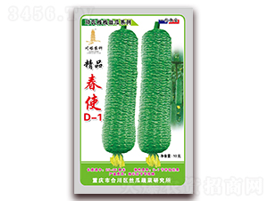 精品春使D-1-絲瓜種子-川塔農(nóng)科