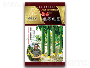 精品極早之星-絲瓜種子-川塔農(nóng)科