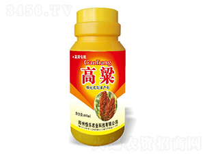 高粱矮化抗倒增產(chǎn)劑-恒樂農(nóng)業(yè)