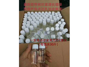 西葫蘆免點花坐果靈-禾圣瑞