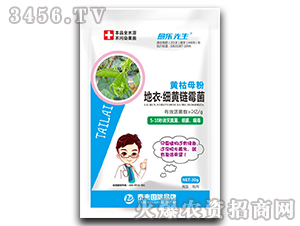 黃枯母粉地衣·細(xì)黃鏈霉菌-愈樂先生-泰來國際