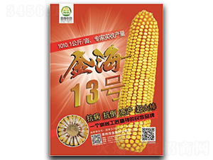金海13號(hào)-玉米種子-金海農(nóng)創(chuàng)