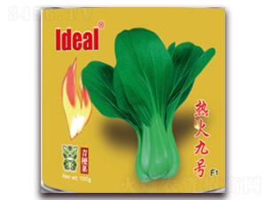 熱火九號-青梗菜種子-理想農(nóng)業(yè)
