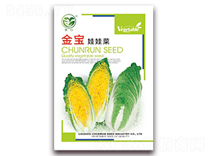 金寶娃娃菜-娃娃菜種子-春潤種業(yè)