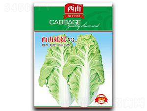 西由娃娃5號-白菜種子-西由