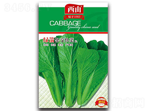 綠箭雜交快菜-白菜種子-西由