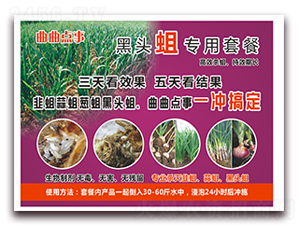 黑頭蛆專用套餐-曲曲點(diǎn)事-芭施綠農(nóng)