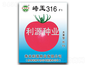 崎玉316-番茄種子-利源種業(yè)