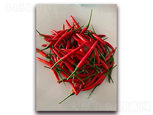 圣農(nóng)紅寶石09朝天椒-朝天椒種子-圣農(nóng)高科
