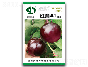 紅譽(yù)A1-茄子種子-天瑞種子