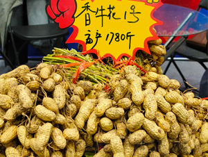 香牛花1號花生種子