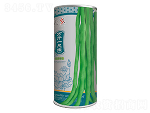 萬斤一尺青-架豆種子-先風(fēng)