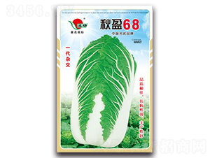 秋盈68-白菜種子-仁大農業(yè)
