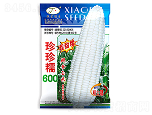 珍珍糯600-玉米種子-曉富種子