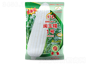 閩玉糯1號(hào)-玉米種子-曉富種子