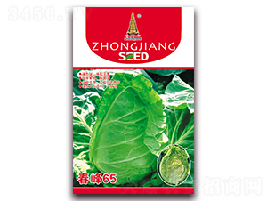 春峰65-甘藍種子-中江農(nóng)業(yè)
