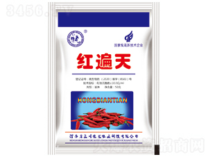 紅遍天-蕓滿收-豫龍農業(yè)