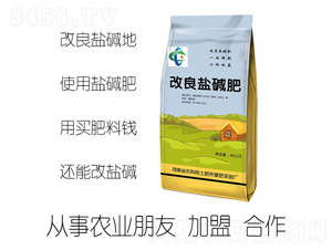 改良鹽堿肥-中麥生物