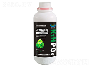 亞磷酸鉀0-520-350+TE-蘭諾迪-康美特