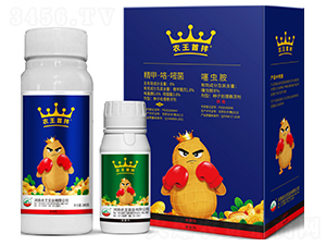 6%精甲·咯·嘧菌+8%噻蟲胺種子處理懸浮劑-農(nóng)王首拌