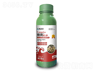 大姜爛脖子病奇效微生物菌劑-統(tǒng)剎1號-國正易農(nóng)