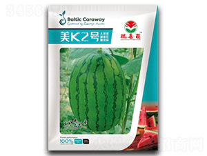 美K2號-西瓜種子-瑞希萌