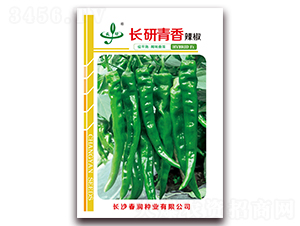 長(zhǎng)研青香-辣椒種子-春潤(rùn)種業(yè)