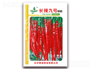 長辣九號(hào)-辣椒種子-春潤種業(yè)