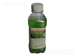 西葫蘆速膨保果靈-農(nóng)伯樂(lè)