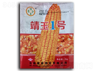 靖玉1號(hào)-儲(chǔ)泉種業(yè)