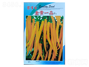 金黃一品-線椒種子-農(nóng)百萬(wàn)