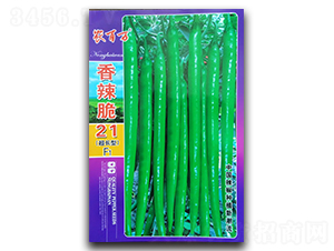 香辣脆21號(hào)-線椒種子-農(nóng)百萬(wàn)