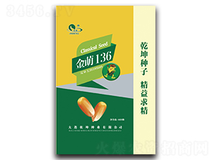 金萌136-玉米種子-乾坤種業(yè)