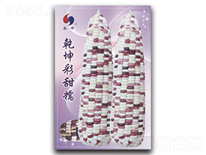 乾坤彩甜糯-玉米種子-乾坤種業(yè)