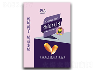 金萌918-玉米種子-乾坤種業(yè)
