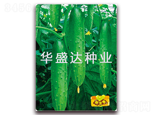 盛達(dá)2號(hào)-黃瓜種子-華盛達(dá)